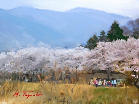 ��i6�D������P